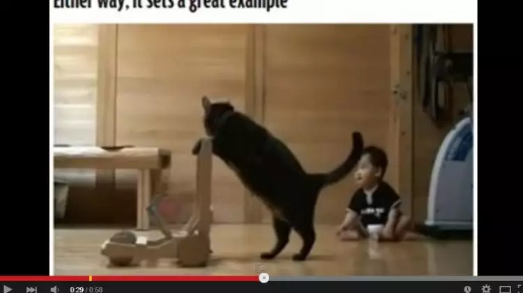 VIDEO: Kucing ajari balita berjalan dengan dua kaki, amazing!
