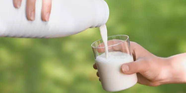 Waduh, minum susu lebih dari 3 gelas diklaim bisa percepat kematian!