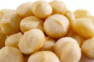 Kacang Macadamia, jenis kacang termahal di dunia yang ada di Indonesia