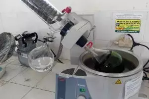 Mahasiswa UII ciptakan obat diabetes dari daun kemangi