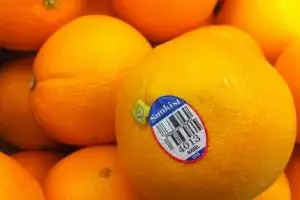 Takut beli buah non-organik? Kamu bisa coba cek stikernya dulu