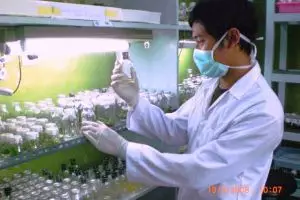 Kisah Andi, asdos 10 mata kuliah di UGM yang pernah dapat IP jeblok