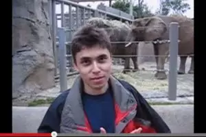 Video gajah berbelalai panjang ditonton 21 juta kali