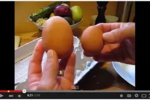 VIDEO: Heboh ada telur di dalam telur