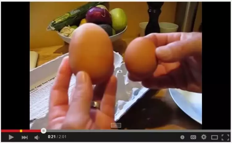 VIDEO: Heboh ada telur di dalam telur