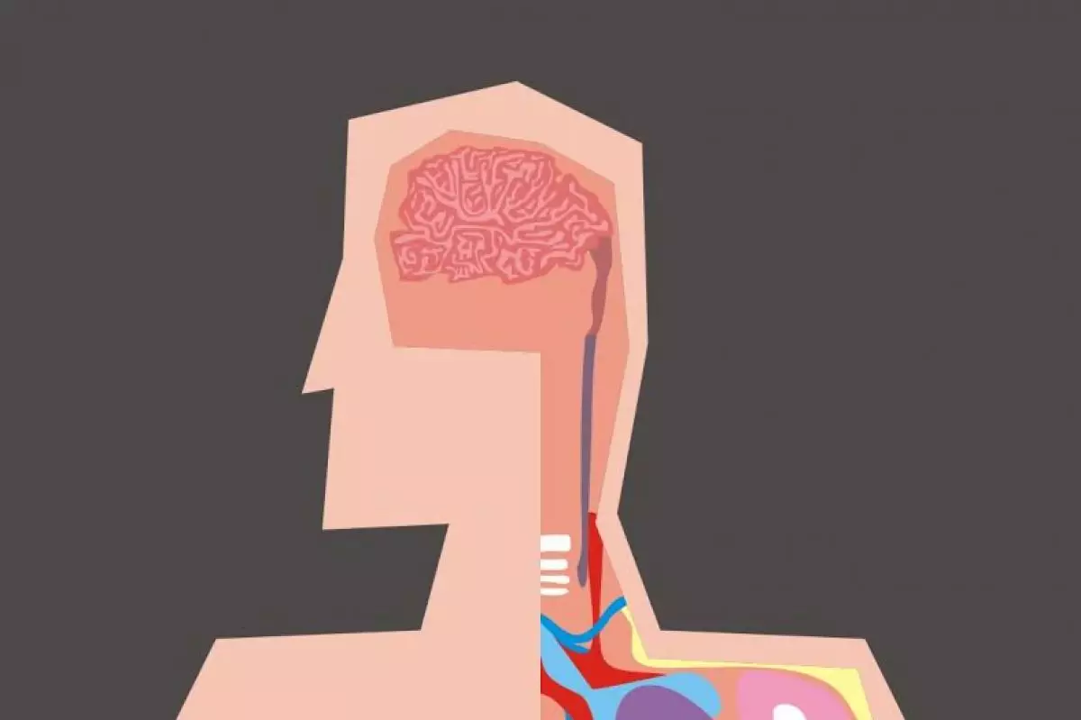 Sebenarnya ada nggak sih otak tengah?