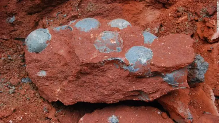 Telur dinosaurus terkubur jalan raya di China, sudah 17 ribu ditemukan
