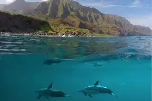 Ada yang aneh di foto yang sangat indah ini