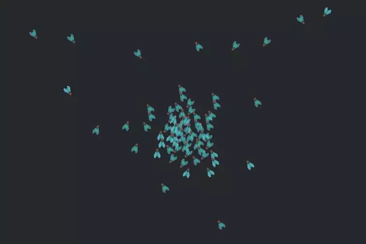 Kamu pernah coba nepuk lalat tapi nggak pernah kena? Ini sebabnya