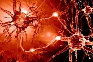 Suhu panas teryata bisa memicu penyakit Multiple Sclerosis, hati-hati!