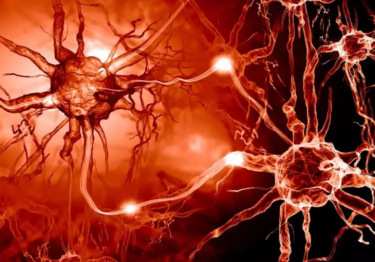 Suhu panas teryata bisa memicu penyakit Multiple Sclerosis, hati-hati!