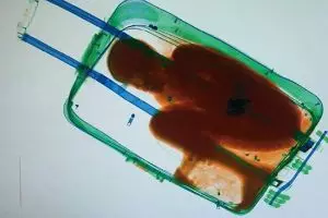 Anak ini ketahuan di bandara sembunyi dalam koper