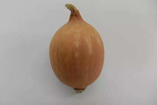 Manfaatnya segudang, mulai sekarang jangan buang percuma kulit bawang