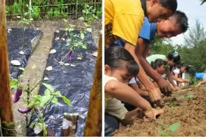 Gadis belia ini majukan gizi warga Nias, jadi duta Indonesia di Eropa