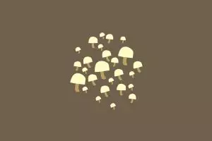 Sakit flu? Kamu bisa usir penyakit menyebalkan itu dengan makan jamur!