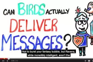 VIDEO: Benarkah burung dapat mengirim surat?