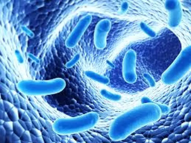 Manfaat probiotik yang perlu kamu tahu