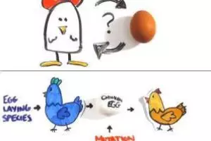 VIDEO: Lebih dulu ayam atau telur? Lihat penjelasan ini