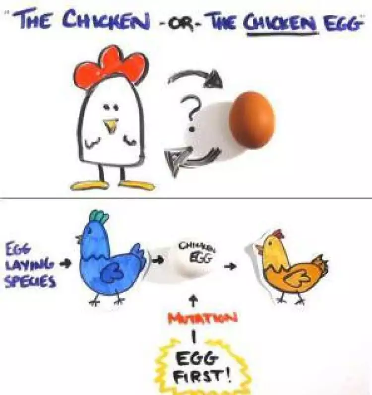 VIDEO: Lebih dulu ayam atau telur? Lihat penjelasan ini