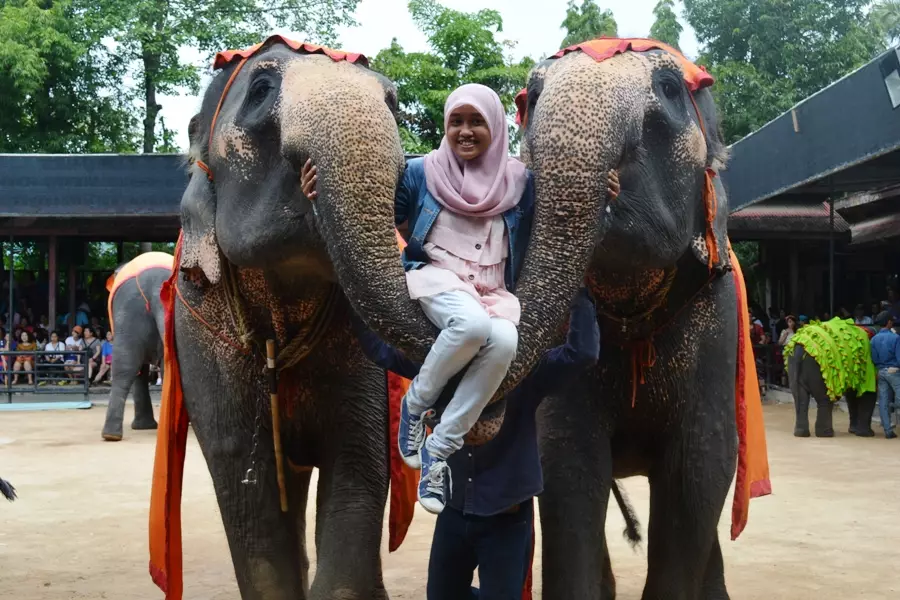 Kiat traveler cegah nyasar di Thailand, catat alamat beraksara lokal