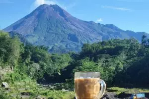 Suka motret makanan? Ini nih tips yang perlu kamu perhatikan!