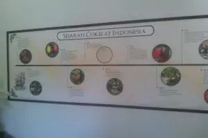 Di Jogja ada museum khusus cokelat, sejarah cokelat ada di sini