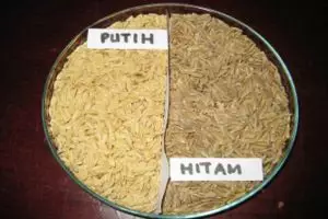 Mengenal beras hitam organik, makanan sehat yang dulunya terlarang