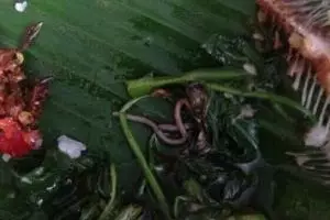 Temuan cacing tanah di cah kangkung hebohkan netizen