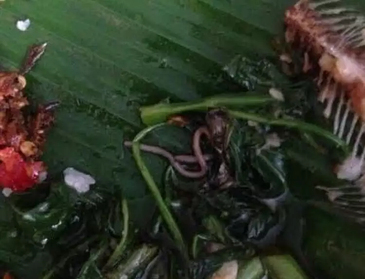 Temuan cacing tanah di cah kangkung hebohkan netizen