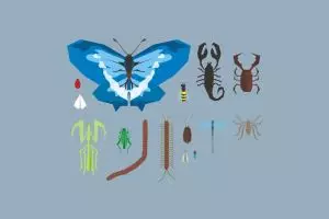 Sadarkah kamu? 7 Serangga ini biasanya cari makan dari tubuh kamu lho