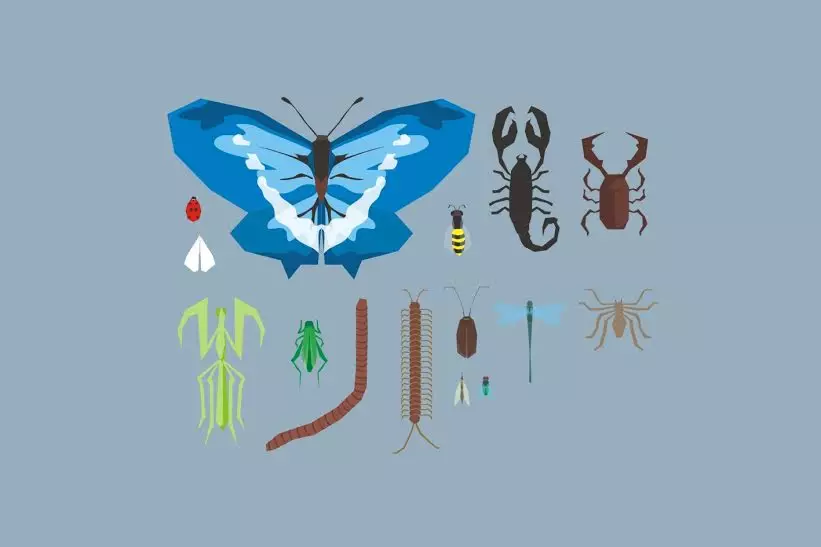 Sadarkah kamu? 7 Serangga ini biasanya cari makan dari tubuh kamu lho