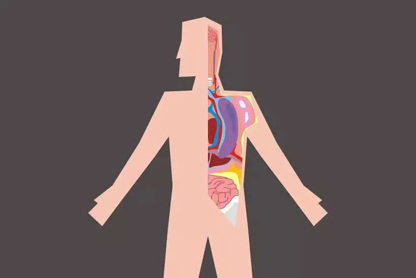 1.400 bakteri berdiam di pusar, rajin bersihkan ya!