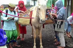 Di lereng Slamet, seekor kuda berperan jadi perpustakaan keliling