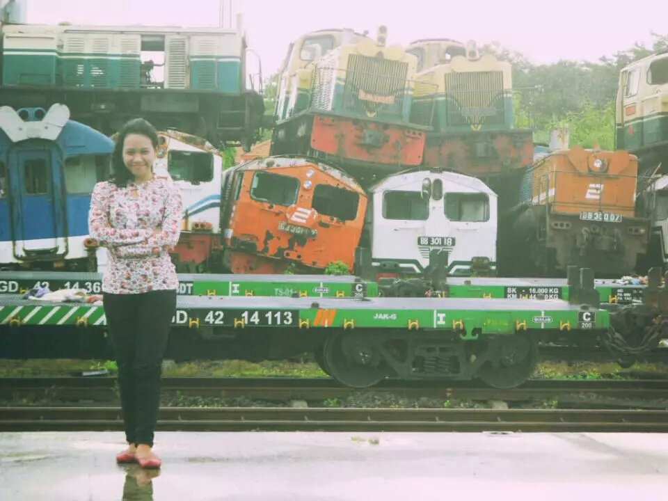 Keranjingan naik kereta api, Rosa koleksi ratusan tiket lawas