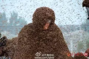 Manusia berselimut lebah