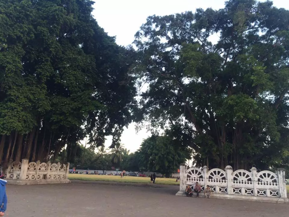 Berani terima tantangan melewati beringin kembar di Alkid Jogja?