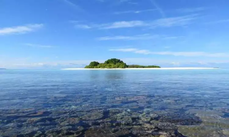 Pulau cantik ini ternyata terbuat dari kotoran ikan 