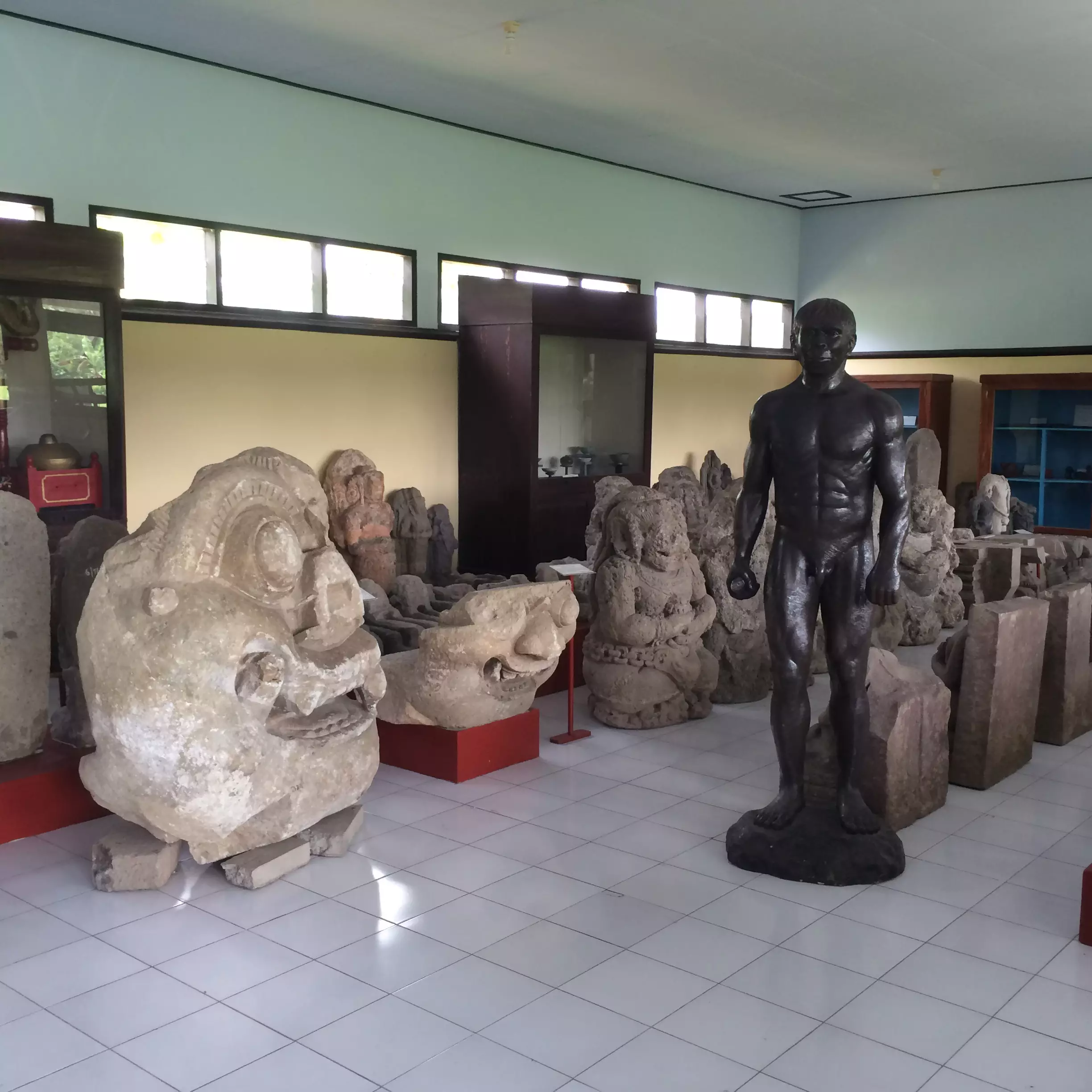 Menguak jejak manusia purba pertama di Indonesia, Homo Wajakensis