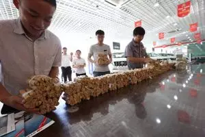 Membayar mobil baru dengan uang koin seberat 4 ton!