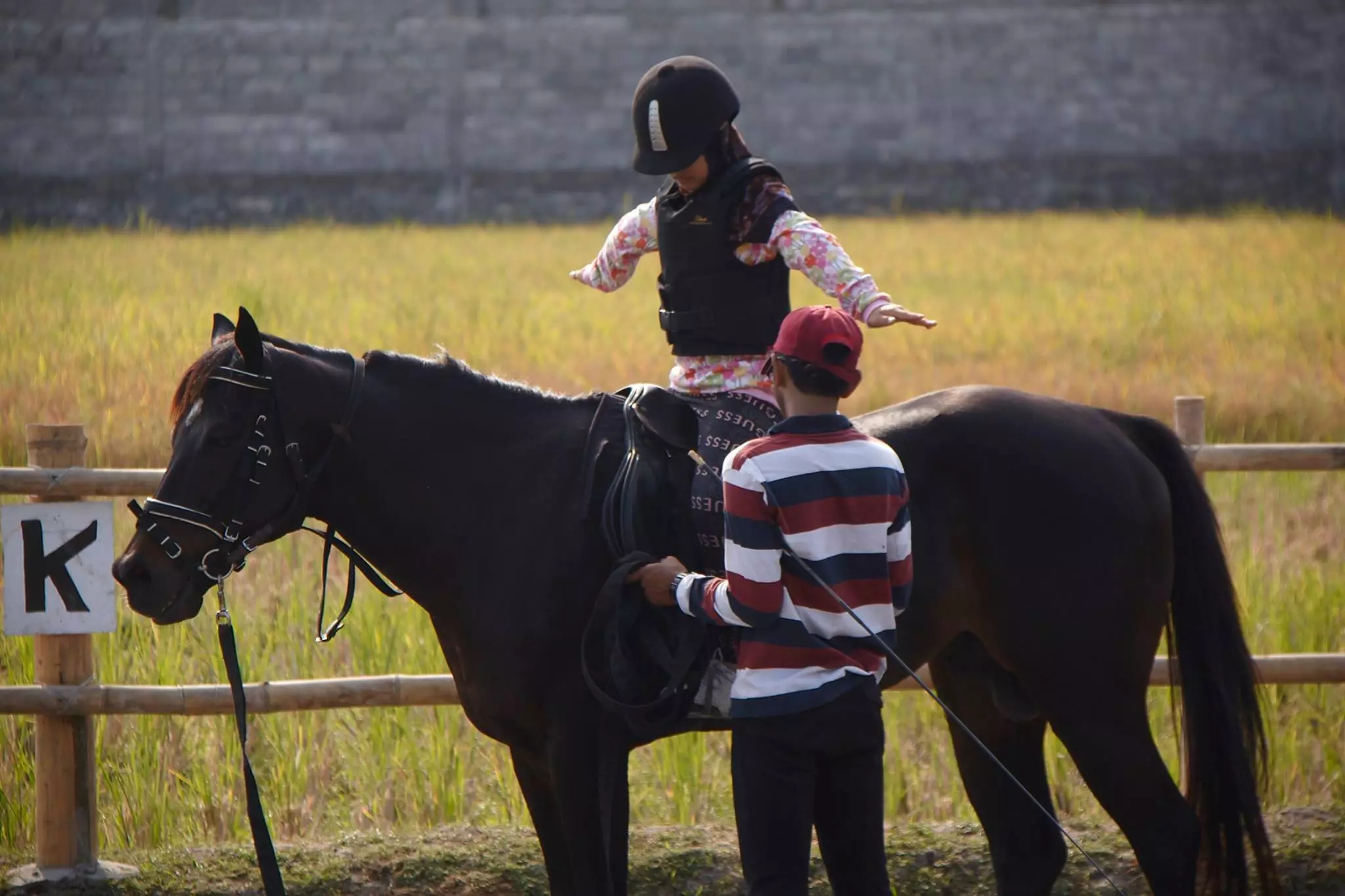 Butuh teknik khusus, berkuda tak segampang belajar motor
