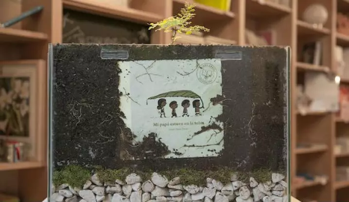 VIDEO: Buku ini dapat tumbuh menjadi pohon saat selesai dibaca