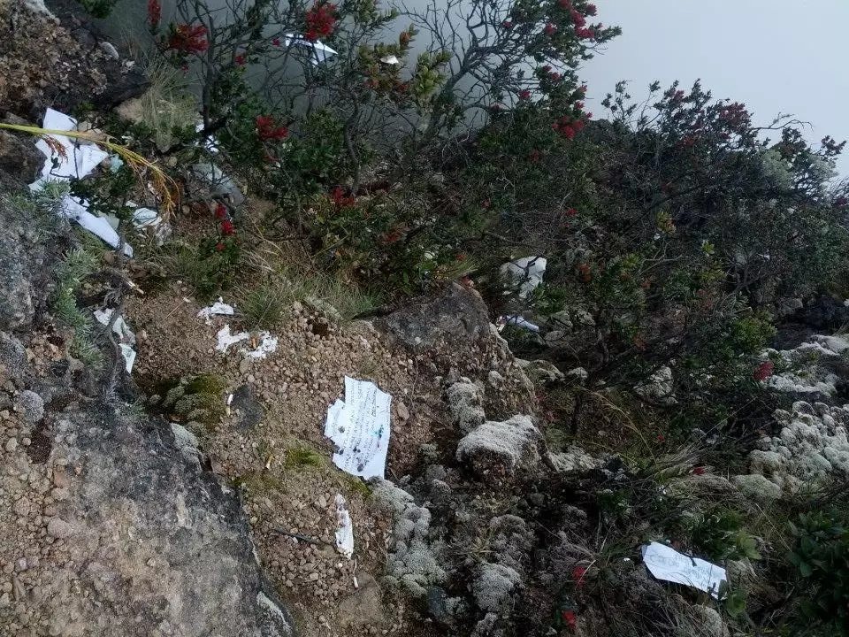 Jadi sebenarnya kamu mendaki gunung dengan tujuan apa?