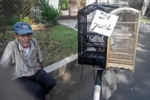 Mbah Misari, dulu pejuang kemerdekaan, kini jualan sangkar burung 