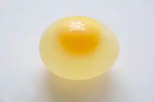 Telur ayam ini tak memiliki cangkang, unik dan ajaib!