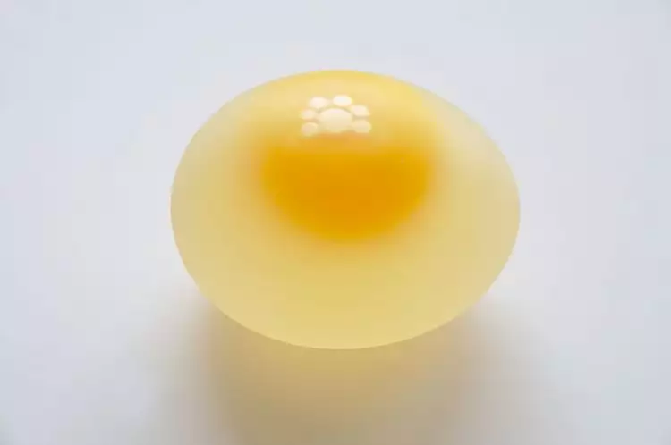 Telur ayam ini tak memiliki cangkang, unik dan ajaib!
