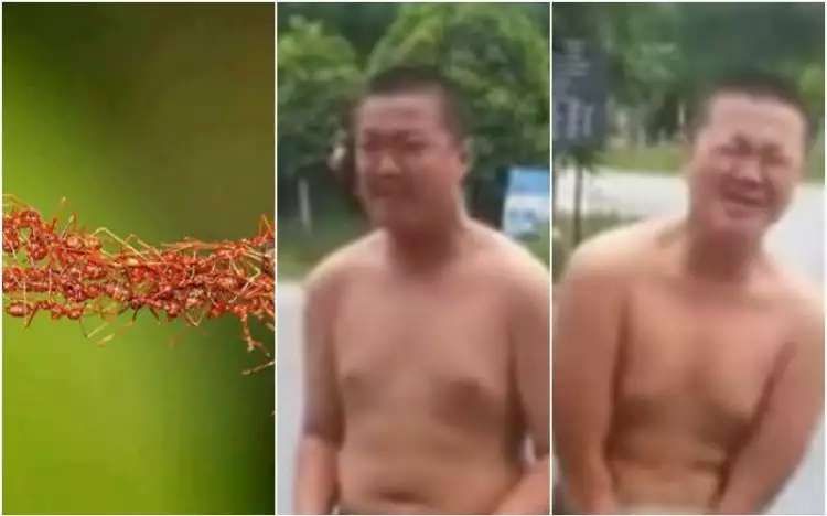 VIDEO: Pria ini menantang digigit semut di wilayah paling pribadi