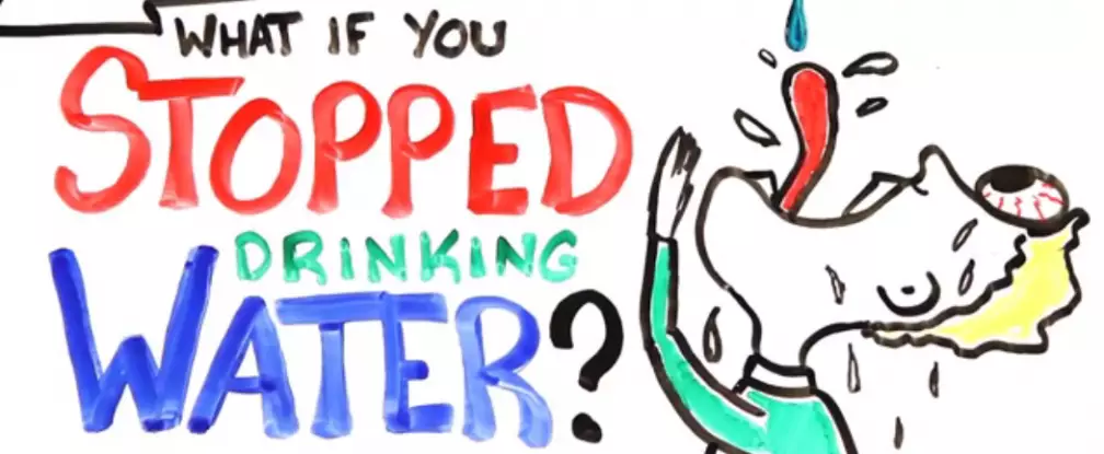 VIDEO: Ini yang terjadi pada tubuhmu saat berhenti mengonsumsi air