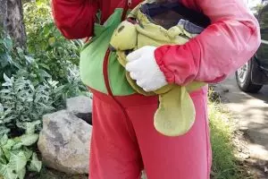 Fakta kakek berkostum Winnie The Pooh, penghasilannya Rp 500 ribu/hari