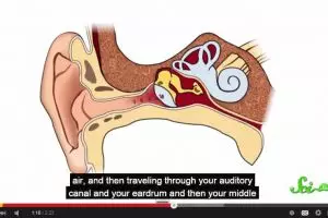 VIDEO: Mengapa suaramu terdengar berbeda saat direkam