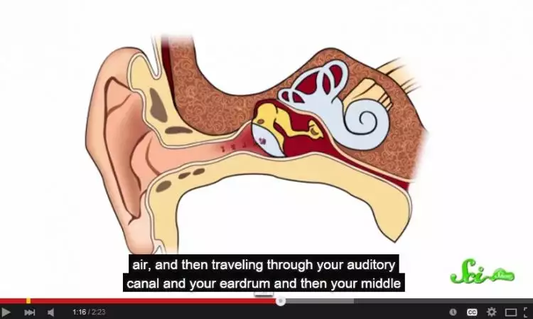 VIDEO: Mengapa suaramu terdengar berbeda saat direkam